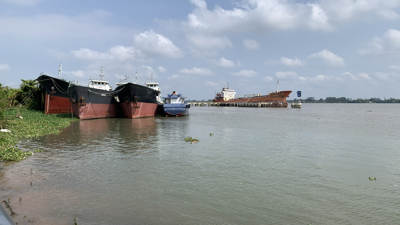 Độ mặn trên sông Hậu đang giảm mạnh so với cùng kỳ năm trước. Ảnh: Hồ Thảo. Độ mặn trên sông Hậu đang giảm mạnh so với cùng kỳ năm trước. Ảnh: Hồ Thảo.