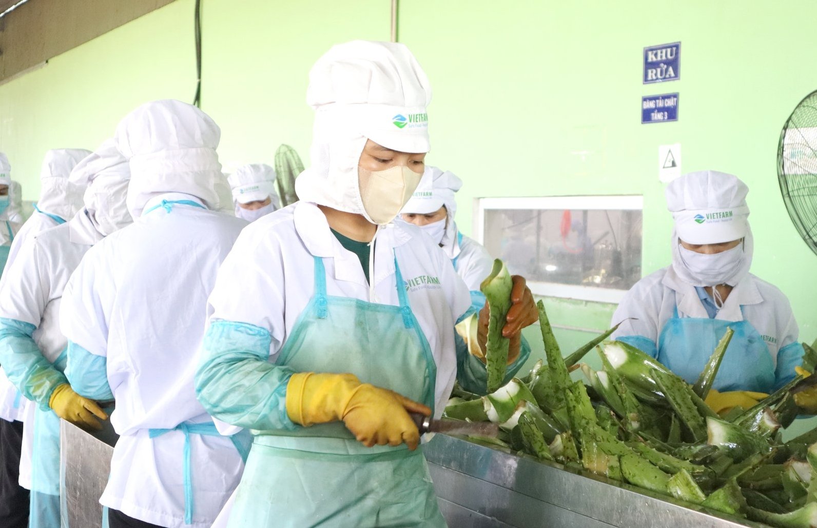 Trong làn sóng chuyển đổi ESG, không ít doanh nghiệp Việt đã tiên phong và gặt hái thành công rõ nét. Ảnh: Nguyễn Thủy. Trong làn sóng chuyển đổi ESG, không ít doanh nghiệp Việt đã tiên phong và gặt hái thành công rõ nét. Ảnh: Nguyễn Thủy.