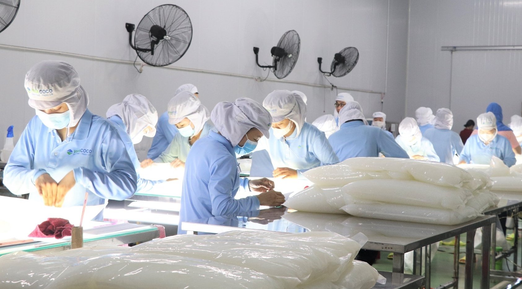 'Thực phẩm an toàn - Cuộc sống hạnh phúc' là chủ đề Báo cáo Phát triển Bền vững năm 2024 của GC Food. Ảnh: Nguyễn Thủy. 'Thực phẩm an toàn - Cuộc sống hạnh phúc' là chủ đề Báo cáo Phát triển Bền vững năm 2024 của GC Food. Ảnh: Nguyễn Thủy.