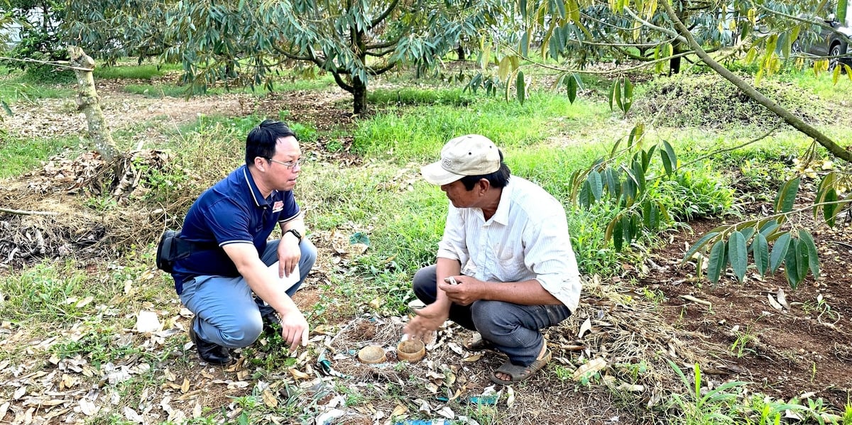 Đến nay, tất cả thành viên trong HTX Xuân Định đều như những chuyên gia nông nghiệp trên chính mảnh đất của mình. Ảnh: Hoàng Phúc.