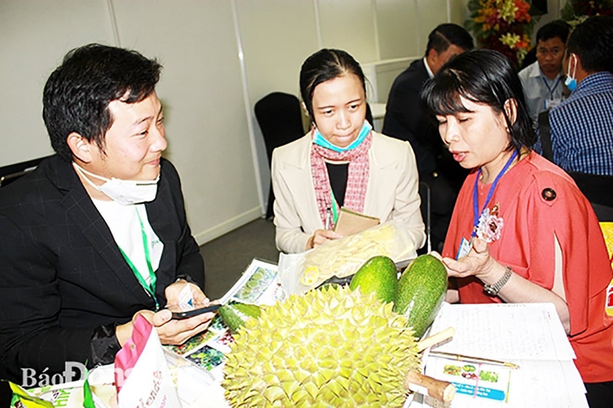 Bà Nga và các thành viên HTX Xuân Định chủ động tìm kiếm đầu ra cho các sản phẩm của HTX. Ảnh: HTX Xuân Định.