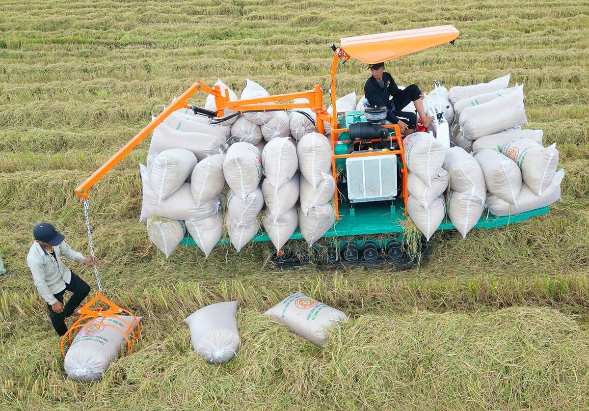 Chiếc máy cơ giới hiện đại này không chỉ là bước tiến trong cơ giới hóa nông nghiệp mà còn là lời giải thiết thực cho bài toán thiếu hụt lao động nông thôn. Ảnh: Lê Hoàng Vũ. Chiếc máy cơ giới hiện đại này không chỉ là bước tiến trong cơ giới hóa nông nghiệp mà còn là lời giải thiết thực cho bài toán thiếu hụt lao động nông thôn. Ảnh: Lê Hoàng Vũ.
