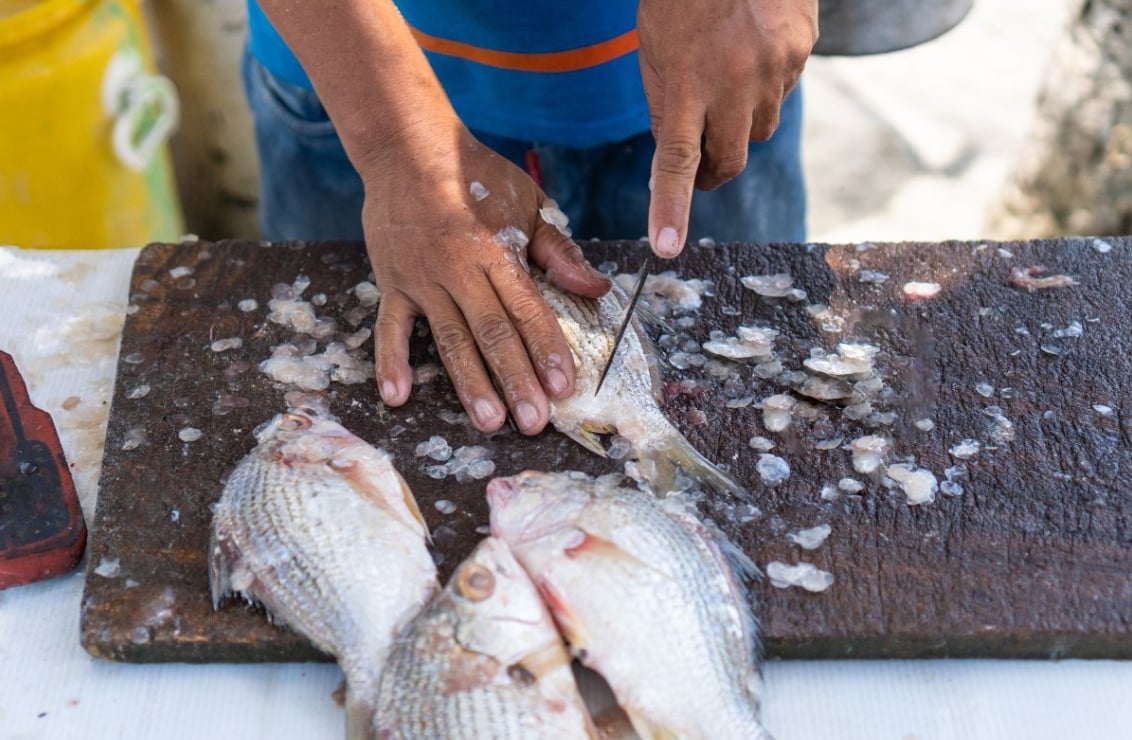 Fish processing by-products include heads, tails, bones, fins, scales, belly fat, intestines, internal organs, and meat scraps. Illustration photo.