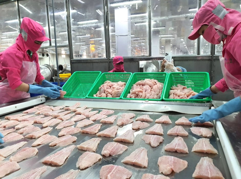 Ngành thủy sản cung cấp hơn 20% lượng protein động vật cho thế giới, nhưng đằng sau những bữa ăn là chuỗi cung ứng đầy thách thức với môi trường và người lao động biển. Ảnh: Trung Chánh. Ngành thủy sản cung cấp hơn 20% lượng protein động vật cho thế giới, nhưng đằng sau những bữa ăn là chuỗi cung ứng đầy thách thức với môi trường và người lao động biển. Ảnh: Trung Chánh.
