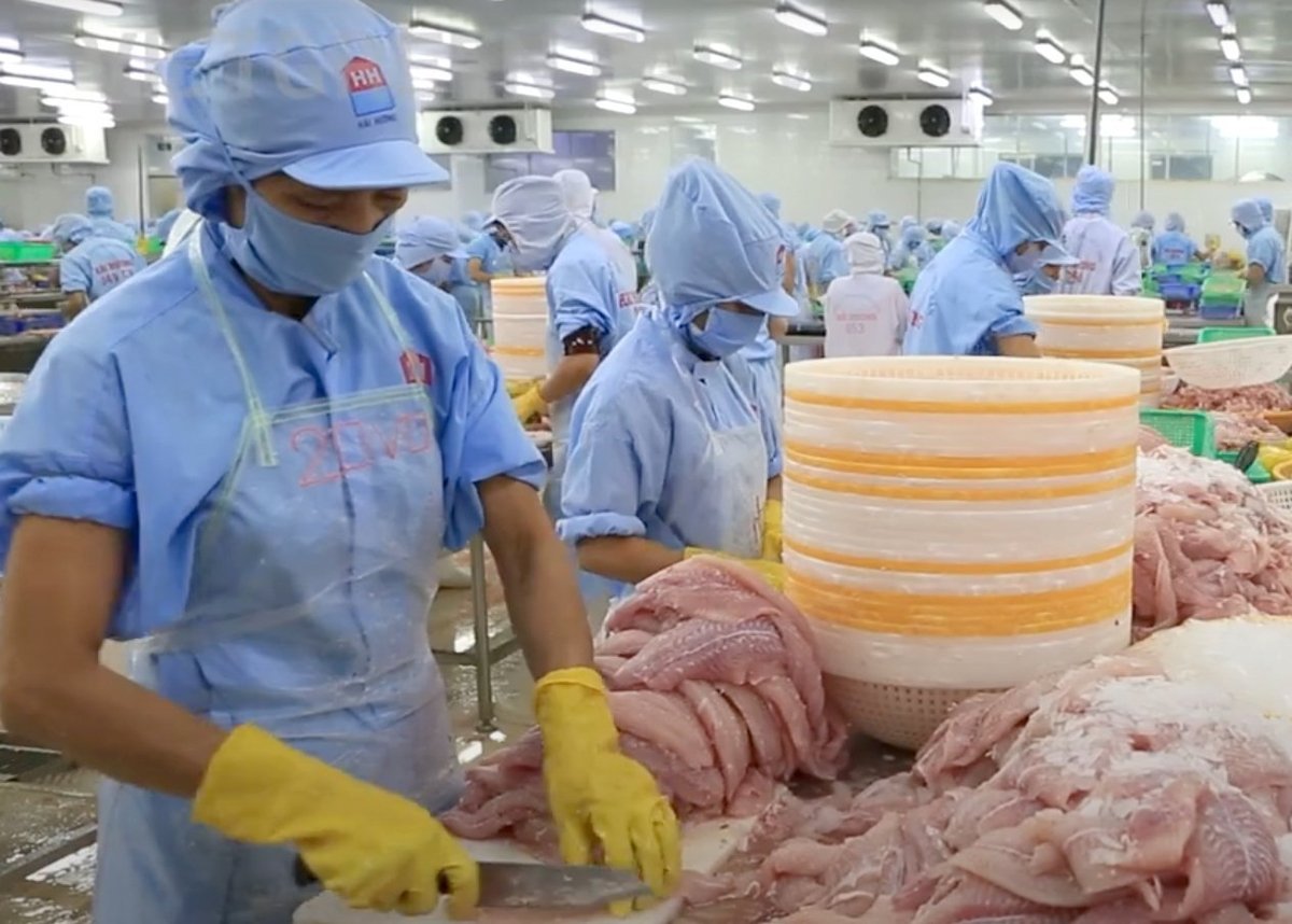 In order to mitigate the effects of the downward pressure on the U.S. market, Vietnamese businesses are increasingly focusing on other main and emerging markets. Photo: Son Trang. 