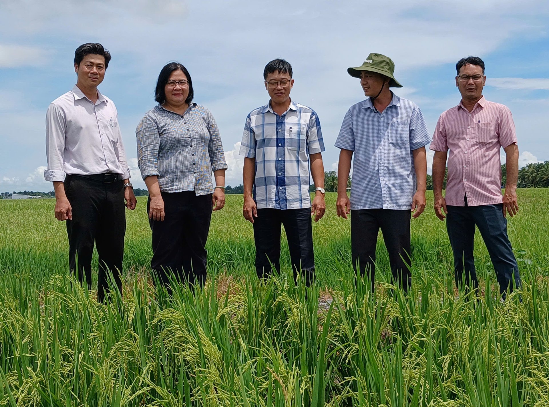 Bà Huỳnh Kim Định (thứ 2 từ trái sang), Phó Giám đốc Trung tâm Khuyến nông Quốc gia cùng cán bộ khuyến nông tỉnh Hậu Giang thăm ruộng lúa tham gia Đề án 1 triệu ha lúa. Ảnh: Trung Chánh. Bà Huỳnh Kim Định (thứ 2 từ trái sang), Phó Giám đốc Trung tâm Khuyến nông Quốc gia cùng cán bộ khuyến nông tỉnh Hậu Giang thăm ruộng lúa tham gia Đề án 1 triệu ha lúa. Ảnh: Trung Chánh.