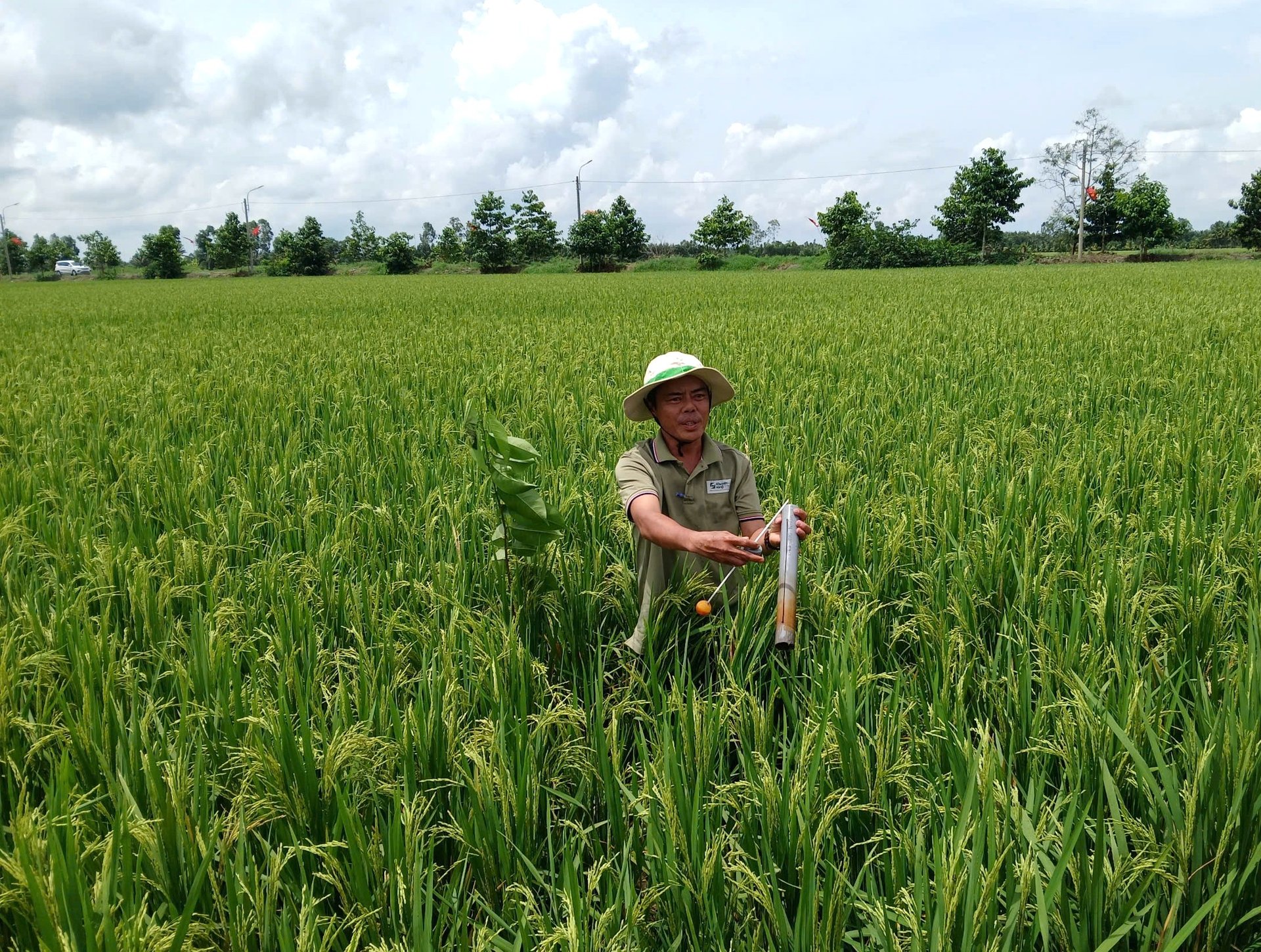 Lực lượng khuyến nông cộng đồng luôn 'bám ruộng, bám dân', là người chuyển tải tri thức, kết nối thị trường, định hướng kỹ thuật để phát triển sản xuất nông nghiệp xanh. Ảnh: Trung Chánh. Lực lượng khuyến nông cộng đồng luôn 'bám ruộng, bám dân', là người chuyển tải tri thức, kết nối thị trường, định hướng kỹ thuật để phát triển sản xuất nông nghiệp xanh. Ảnh: Trung Chánh.