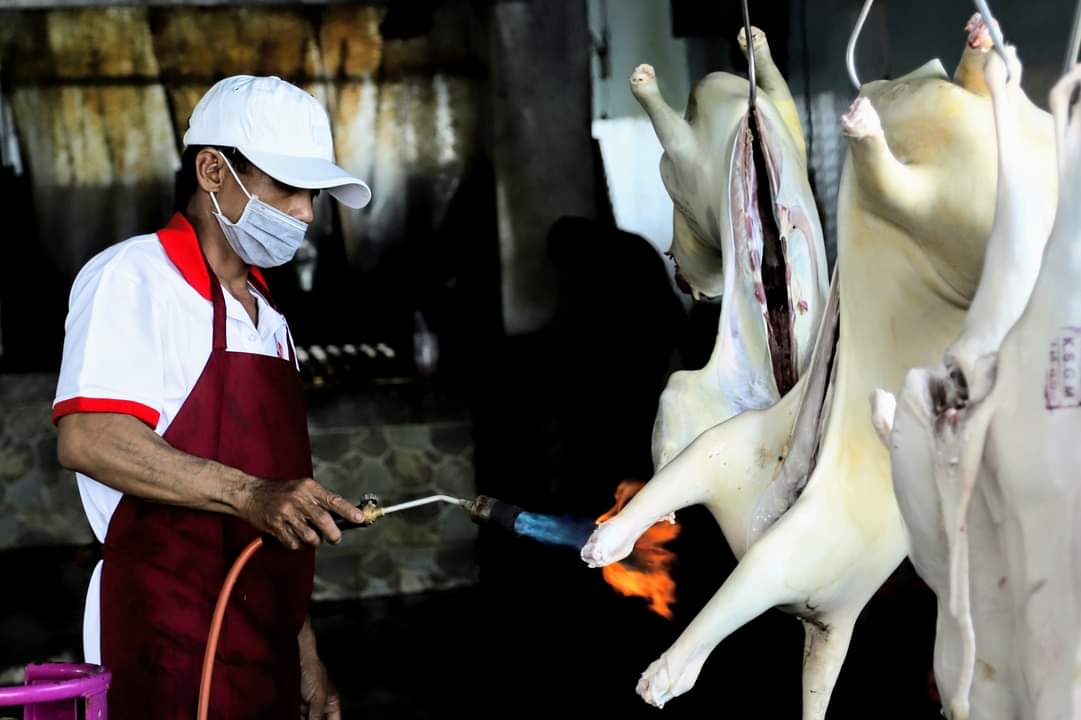 Ninh Thuận mới có 2 cơ sở giết mổ tập trung chưa đáp ứng được hết nhu cầu giết mổ gia súc, gia cầm hàng ngày. Ảnh: Phương Chi. Ninh Thuận mới có 2 cơ sở giết mổ tập trung chưa đáp ứng được hết nhu cầu giết mổ gia súc, gia cầm hàng ngày. Ảnh: Phương Chi.