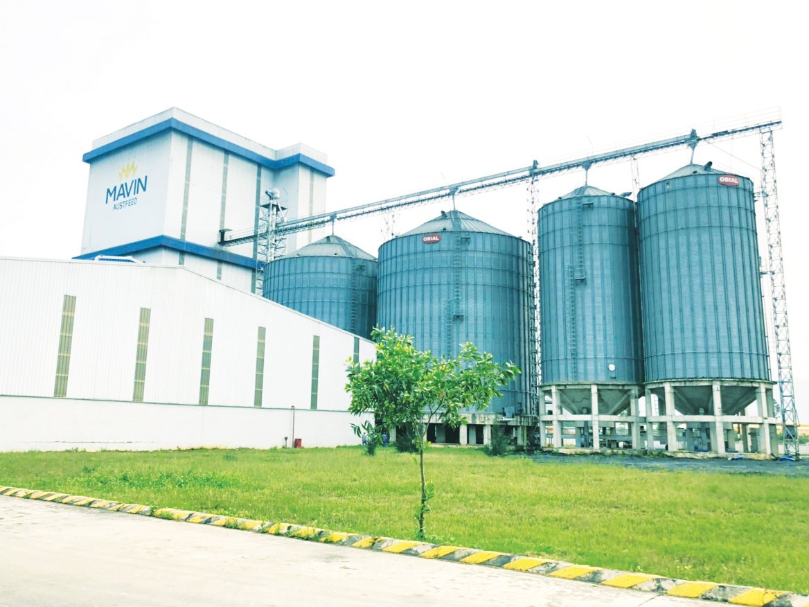 Hệ thống silo hiện đại chứa nguyên liệu tại Nhà máy chế biến thức ăn chăn nuôi Mavin. Ảnh: Mavin. Hệ thống silo hiện đại chứa nguyên liệu tại Nhà máy chế biến thức ăn chăn nuôi Mavin. Ảnh: Mavin.