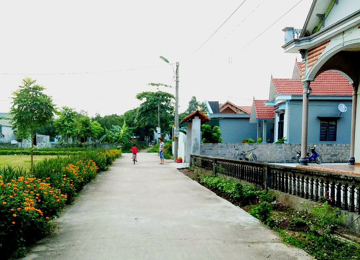 Những tuyến đường nông thôn mới xanh - sạch - đẹp ở xã Cẩm Hải (TP Cẩm Phả). Ảnh: Ngô Dịu. Những tuyến đường nông thôn mới xanh - sạch - đẹp ở xã Cẩm Hải (TP Cẩm Phả). Ảnh: Ngô Dịu.