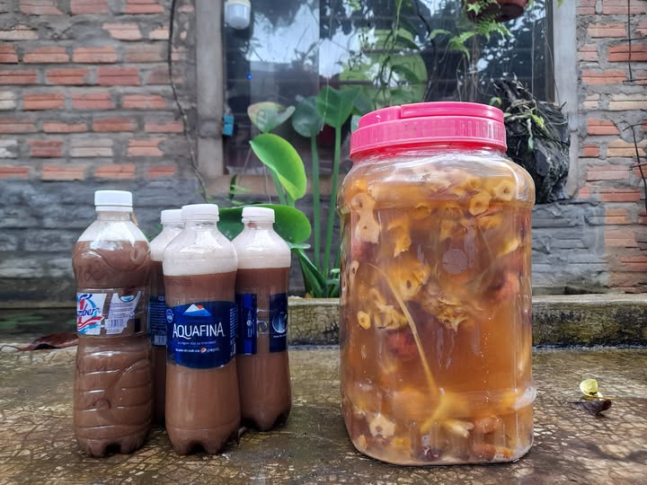 Những chai nước nấu từ bồ hòn và hũ enzyme làm từ hoa quả - những chất tẩy rửa thân thiện với môi trường do chị Miên Nguyễn chế tạo. Ảnh: Miennguyenstory. Những chai nước nấu từ bồ hòn và hũ enzyme làm từ hoa quả - những chất tẩy rửa thân thiện với môi trường do chị Miên Nguyễn chế tạo. Ảnh: Miennguyenstory.