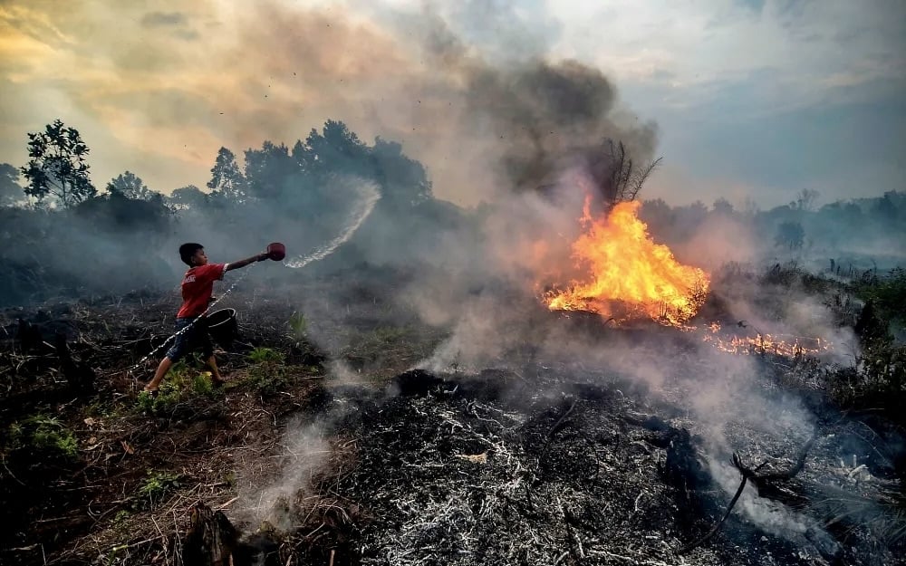 Cháy rừng tại Indonesia. Ảnh: The New York Times. Cháy rừng tại Indonesia. Ảnh: The New York Times.