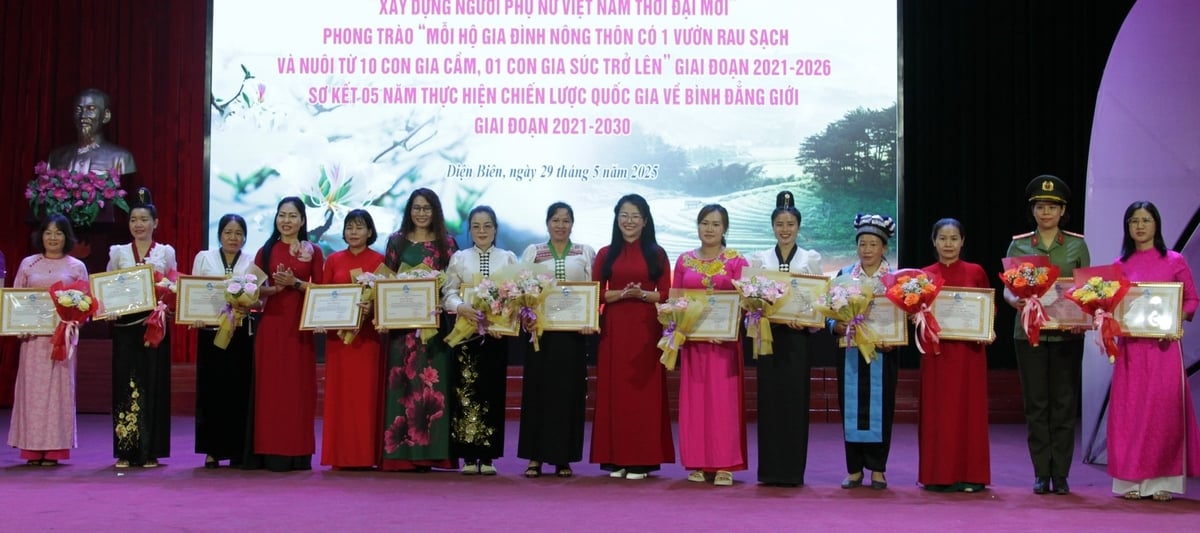 Lãnh đạo Hội LHPN tỉnh tặng Bằng khen cho 15 cá nhân. Ảnh: Trần Hương. Lãnh đạo Hội LHPN tỉnh tặng Bằng khen cho 15 cá nhân. Ảnh: Trần Hương.