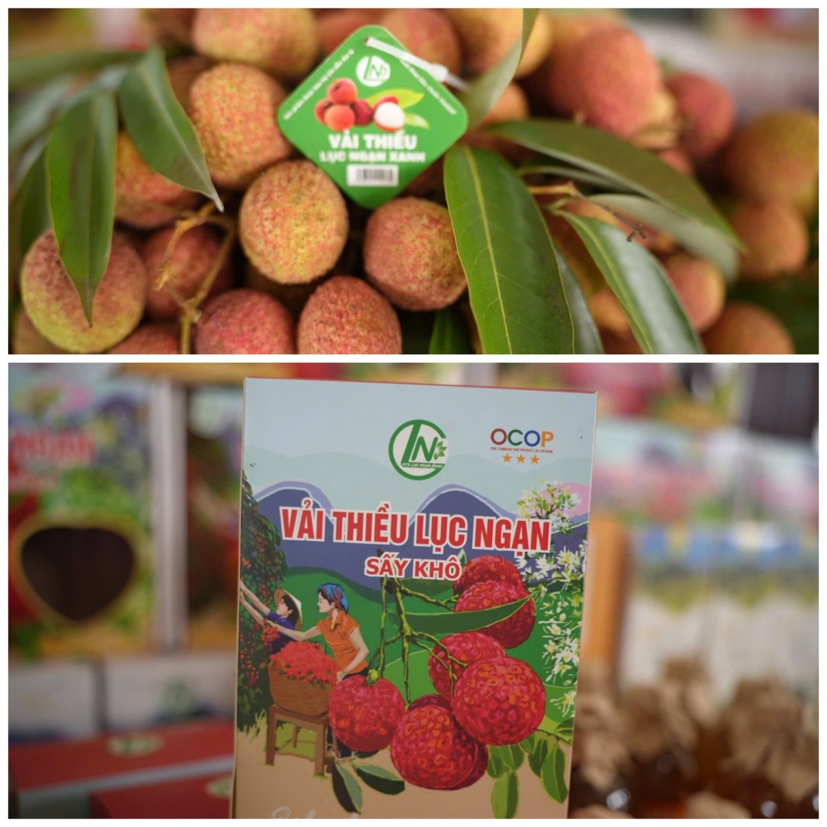 Áp dụng khoa học công nghệ trong chế biến tạo ra nhiều sản phẩm từ quả vải thiều Lục Ngạn - Chũ. Áp dụng khoa học công nghệ trong chế biến tạo ra nhiều sản phẩm từ quả vải thiều Lục Ngạn - Chũ.