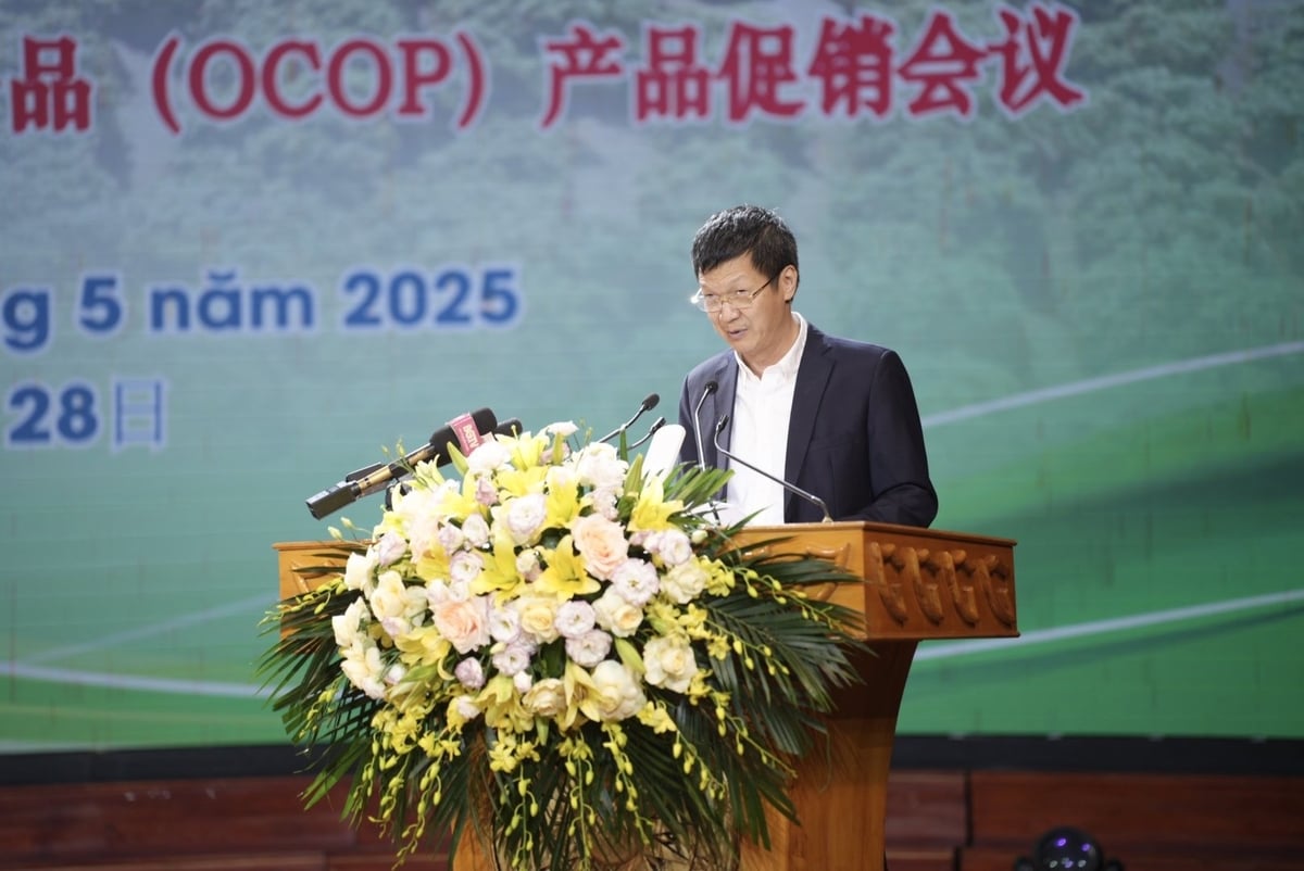 Ông Nguyễn Việt Dũng, Chủ tịch HĐQT Viettel Post cam kết về giải pháp logistics vải thiều 2025, từ vận chuyển, bảo quản đến kết nối thị trường xuất khẩu. Ảnh: Phạm Minh. Ông Nguyễn Việt Dũng, Chủ tịch HĐQT Viettel Post cam kết về giải pháp logistics vải thiều 2025, từ vận chuyển, bảo quản đến kết nối thị trường xuất khẩu. Ảnh: Phạm Minh.