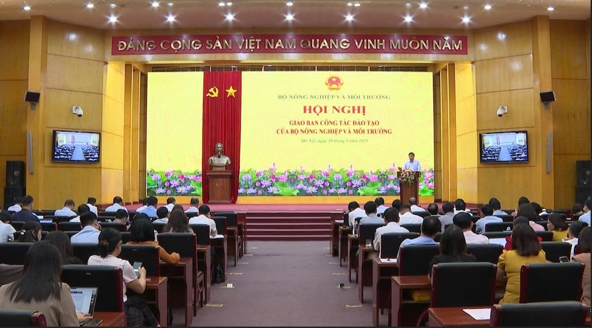 Toàn cảnh Hội nghị Giao ban Công tác đào tạo của Bộ Nông nghiệp và Môi trường. Ảnh: Đức Việt. Toàn cảnh Hội nghị Giao ban Công tác đào tạo của Bộ Nông nghiệp và Môi trường. Ảnh: Đức Việt.