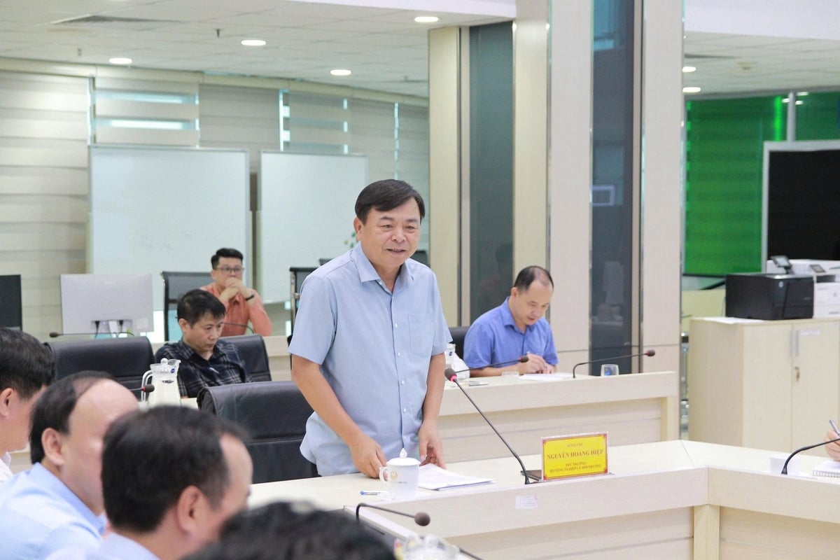 Thứ trưởng Nguyễn Hoàng Hiệp phát biểu tại cuộc họp Thứ trưởng Nguyễn Hoàng Hiệp phát biểu tại cuộc họp