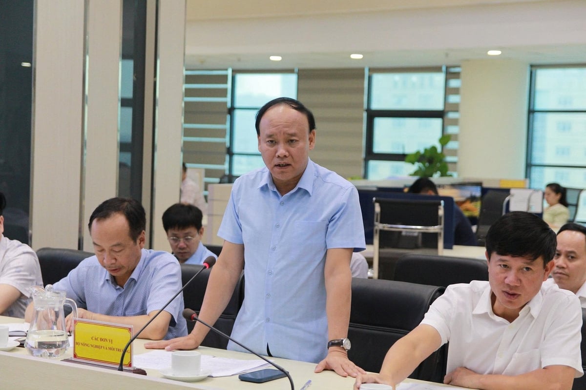 Ông Nguyễn Tùng Phong, Cục trưởng Cục Quản lý và Xây dựng công trình thủy lợi phát biểu tại cuộc họp. Ảnh: Quỳnh Hương. Ông Nguyễn Tùng Phong, Cục trưởng Cục Quản lý và Xây dựng công trình thủy lợi phát biểu tại cuộc họp. Ảnh: Quỳnh Hương.