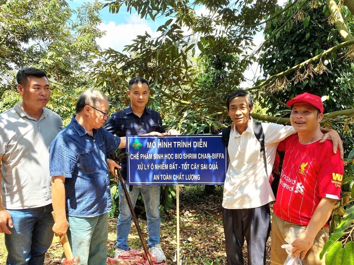 Dr. Nguyen Dang Nghia's team assists farmers in soil treatment in some key durian-growing regions in the Central Highlands. Photo: Minh Sang.