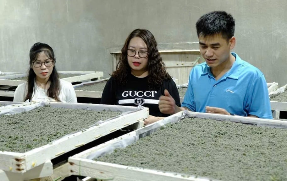 Người dân huyện Bảo Lạc mạnh dạn chuyển từ cây trồng kém hiệu quả sang trồng dâu nuôi tằm, mở ra hướng phát triển kinh tế ổn định và bền vững. Ảnh: Vũ Đệ. Người dân huyện Bảo Lạc mạnh dạn chuyển từ cây trồng kém hiệu quả sang trồng dâu nuôi tằm, mở ra hướng phát triển kinh tế ổn định và bền vững. Ảnh: Vũ Đệ.