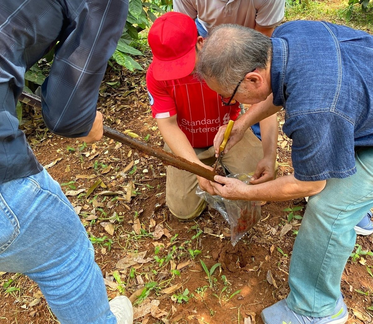 Dr. Nguyen Dang Nghia (wearing glasses) instructs farmers on soil sampling for analysis. Photo: Minh Sang.