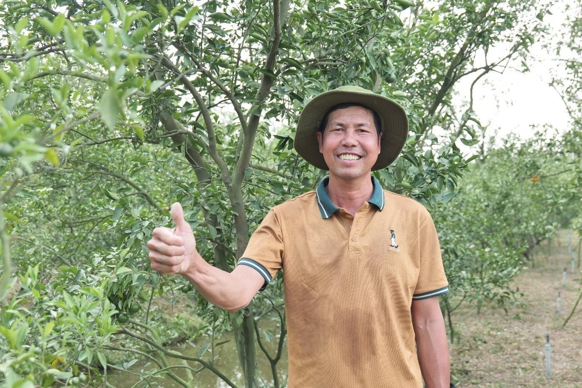 Anh Trần Ngọc Tâm, người trồng cam ở huyện Lai Vung, tỉnh Đồng Tháp hoàn toàn tin tưởng hiệu quả của Vaniva® 450SC.