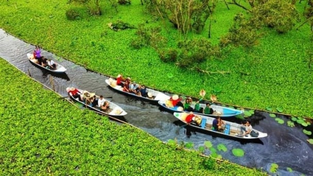 Saltwater and brackish water areas like Ca Mau and Bac Lieu support mangrove forest restoration, which underpins ecotourism development. Photo: Tung Dinh.