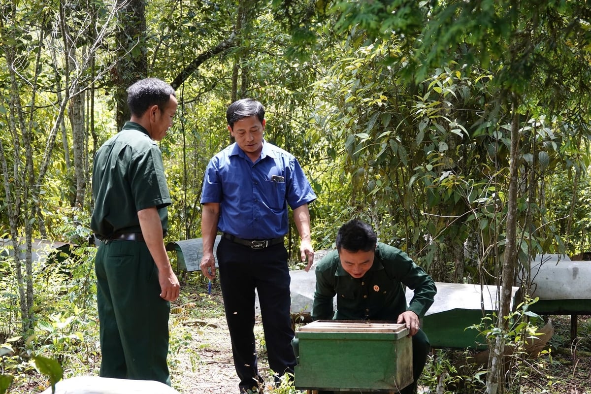 Với hệ sinh thái rừng phong phú, nghề nuôi ong lấy mật phát triển mạnh ở huyện Mù Cang Chải. Ảnh: Thanh Tiến.