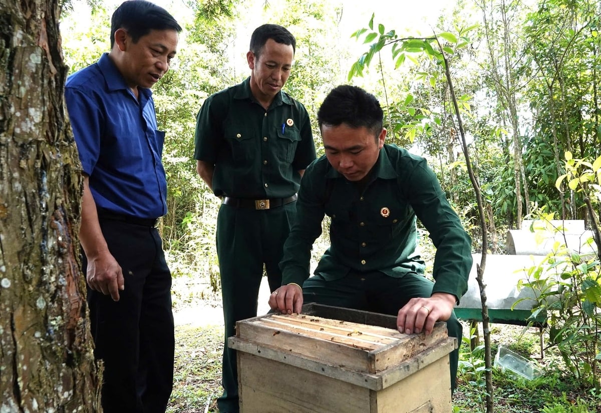 Huyện Mù Cang Chải đang tiếp tục khuyến khích, hỗ trợ người dân phát triển nghề nuôi ong mật kết hợp với việc bảo vệ rừng. Ảnh: Thanh Tiến.