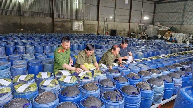 Công an Nghệ An triệt phá ổ sản xuất 3.500 tấn giá đỗ ngâm hóa chất. Ảnh: Công an Nghệ An. Công an Nghệ An triệt phá ổ sản xuất 3.500 tấn giá đỗ ngâm hóa chất. Ảnh: Công an Nghệ An.
