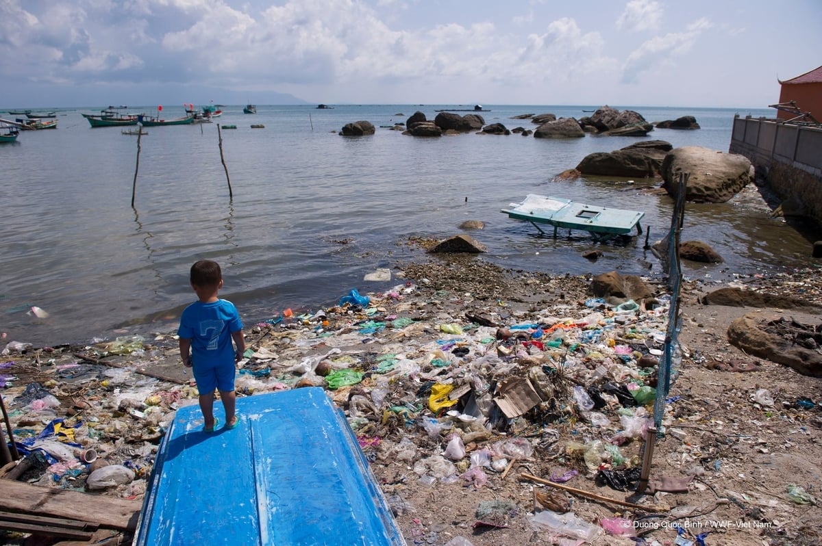 Ô nhiễm nhựa là thách thức nghiêm trọng. Ảnh: WWF-Việt Nam. Ô nhiễm nhựa là thách thức nghiêm trọng. Ảnh: WWF-Việt Nam.