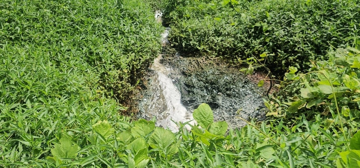 ... và xả ra môi trường. Vị trí xả thải nước có màu nâu, nổi váng đóng cặn dưới đáy và bốc mùi thối nồng nặc. Ảnh: Quốc Toản. ... và xả ra môi trường. Vị trí xả thải nước có màu nâu, nổi váng đóng cặn dưới đáy và bốc mùi thối nồng nặc. Ảnh: Quốc Toản.