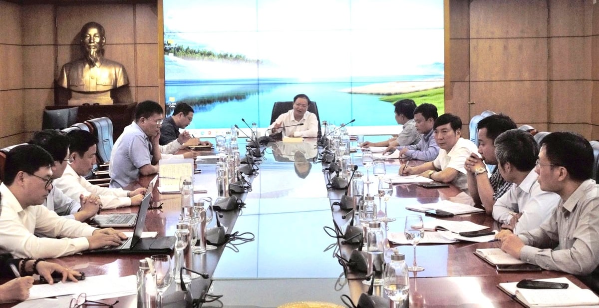 Thứ trưởng Lê Minh Ngân chủ trì buổi làm việc về công tác chuẩn bị cho Tuần lễ Biển và Hải đảo Việt Nam năm 2025 vào sáng 30/5. Ảnh: Trường Giang. Thứ trưởng Lê Minh Ngân chủ trì buổi làm việc về công tác chuẩn bị cho Tuần lễ Biển và Hải đảo Việt Nam năm 2025 vào sáng 30/5. Ảnh: Trường Giang.