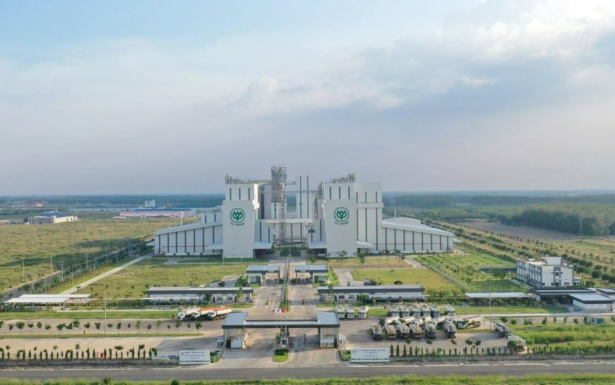 Một nhà máy của C.P. Việt Nam. Ảnh: TL. Một nhà máy của C.P. Việt Nam. Ảnh: TL.