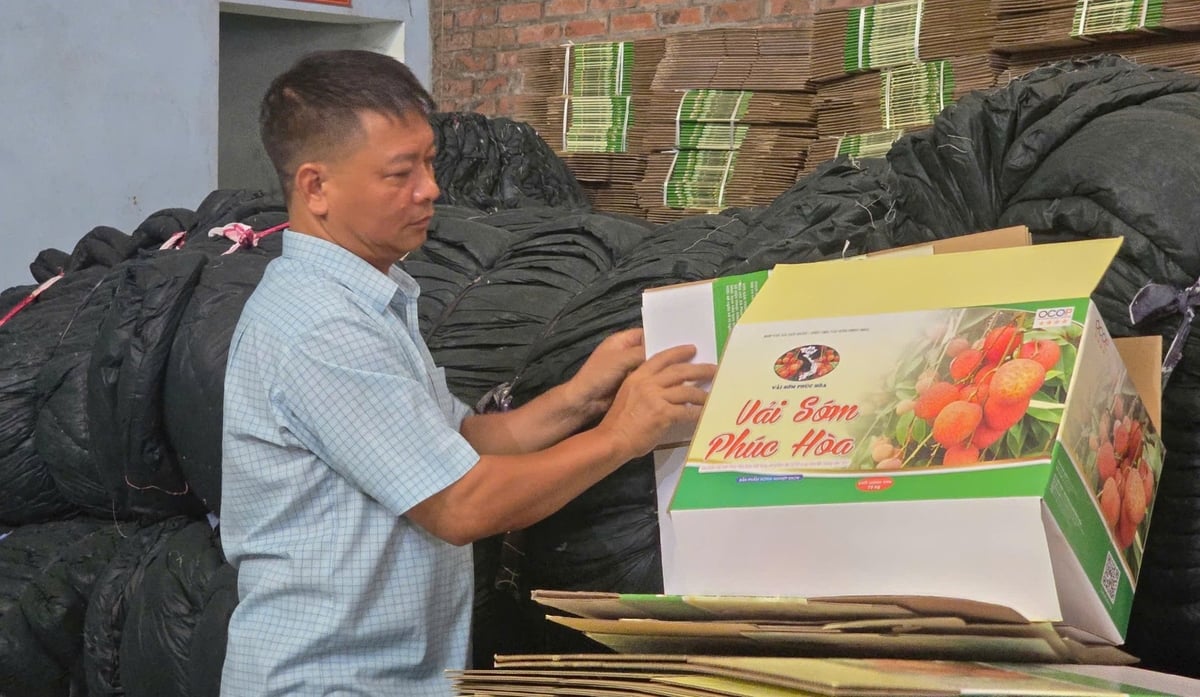 Các hợp tác xã đã chuẩn bị sẵn sàng cho việc đóng gói, xuất khẩu vải. Các hợp tác xã đã chuẩn bị sẵn sàng cho việc đóng gói, xuất khẩu vải.