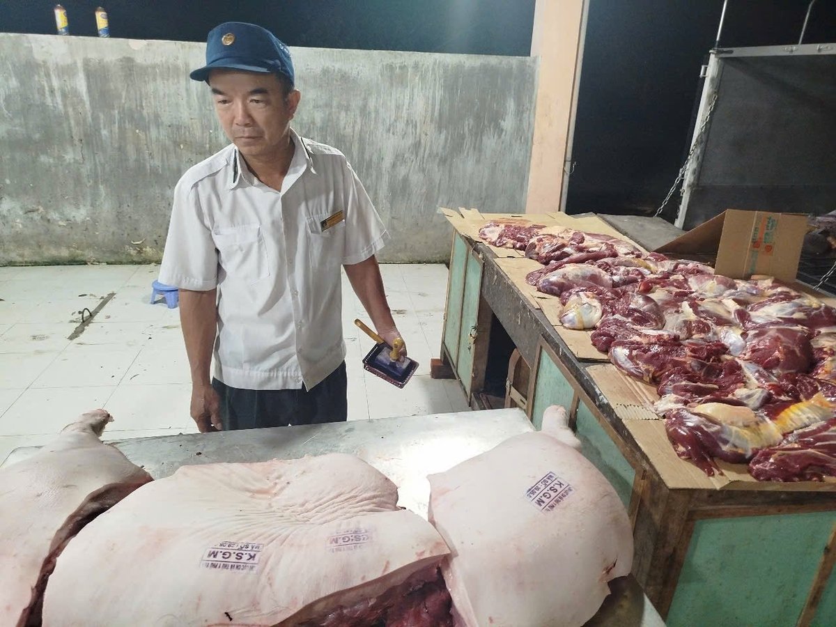 Cơ quan thú y Phú Yên kiểm soát giết mổ gia súc. Ảnh: KS.