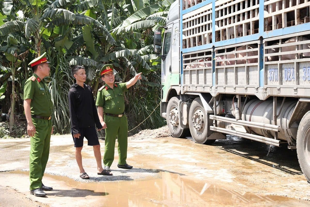 Lực lượng Công an kịp thời ngan chăn lợn nhiễm bệnh tuồn ra thị trường. Ảnh: Công an tỉnh Hà Tĩnh. Lực lượng Công an kịp thời ngan chăn lợn nhiễm bệnh tuồn ra thị trường. Ảnh: Công an tỉnh Hà Tĩnh.