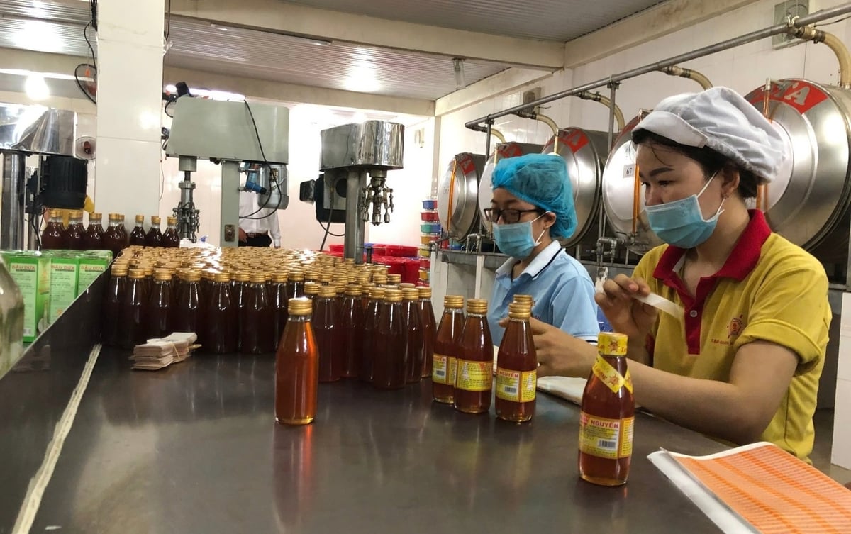Nghị quyết 68 được kỳ vọng sẽ là cú huých để doanh nghiệp nông nghiệp bứt phá. Ảnh: Mai Ca Nghị quyết 68 được kỳ vọng sẽ là cú huých để doanh nghiệp nông nghiệp bứt phá. Ảnh: Mai Ca