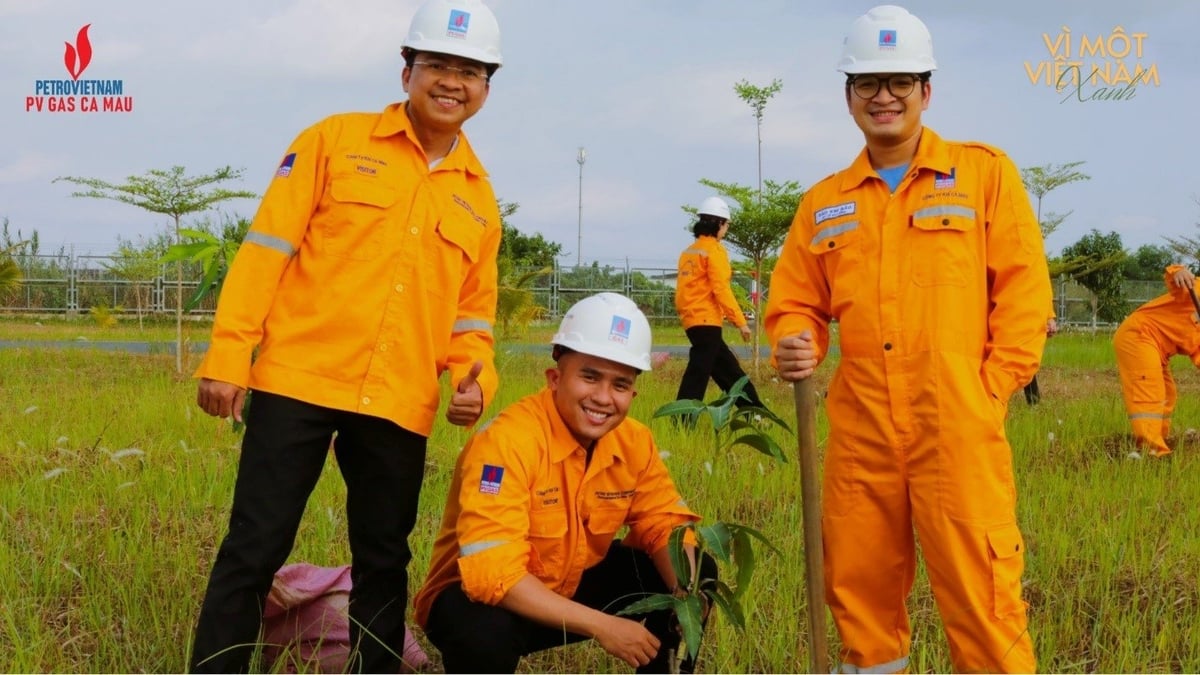 Hơn 500 cây xanh đã được trồng tại khuôn viên Nhà máy xử lý khí Cà Mau và đường công vụ dọc tuyến ống bờ thuộc đường ống dẫn khí PM3 - Cà Mau. Ảnh: PV GAS. Hơn 500 cây xanh đã được trồng tại khuôn viên Nhà máy xử lý khí Cà Mau và đường công vụ dọc tuyến ống bờ thuộc đường ống dẫn khí PM3 - Cà Mau. Ảnh: PV GAS.