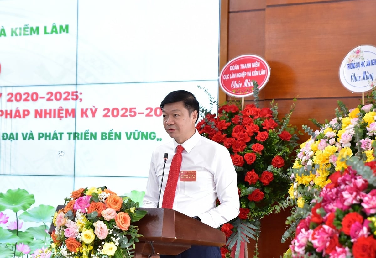 Ông Trần Quang Bảo, Cục trưởng Cục Lâm nghiệp và Kiểm lâm, phát biểu tại Đại hội. Ảnh: Kiều Chi. Ông Trần Quang Bảo, Cục trưởng Cục Lâm nghiệp và Kiểm lâm, phát biểu tại Đại hội. Ảnh: Kiều Chi.