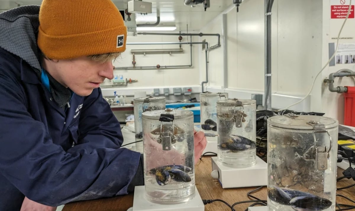 Dự án thí điểm do Đại học Exeter (Vương quốc Anh) dẫn dắt đang thu giữ carbon từ nước biển. Đối tác tham gia là Phòng thí nghiệm Hải dương học Plymouth. Ảnh: CNN. Dự án thí điểm do Đại học Exeter (Vương quốc Anh) dẫn dắt đang thu giữ carbon từ nước biển. Đối tác tham gia là Phòng thí nghiệm Hải dương học Plymouth. Ảnh: CNN.