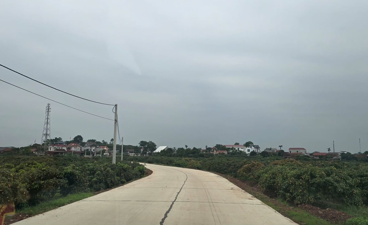 Đường giao thông vào các khu vực trồng vải tại huyện Tân Yên được đầu tư, nâng cấp tạo thuận lợi cho sản xuất và vận chuyển nông sản. Ảnh: Đinh Mười.