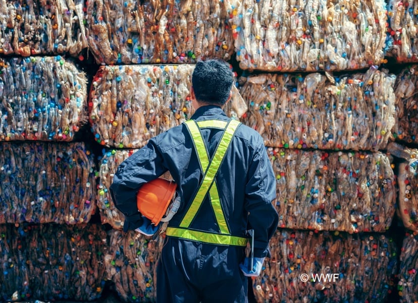 Kinh tế tuần hoàn là giải pháp không thể thiếu để chống ô nhiễm nhựa. Ảnh: WWF-Việt Nam. Kinh tế tuần hoàn là giải pháp không thể thiếu để chống ô nhiễm nhựa. Ảnh: WWF-Việt Nam.