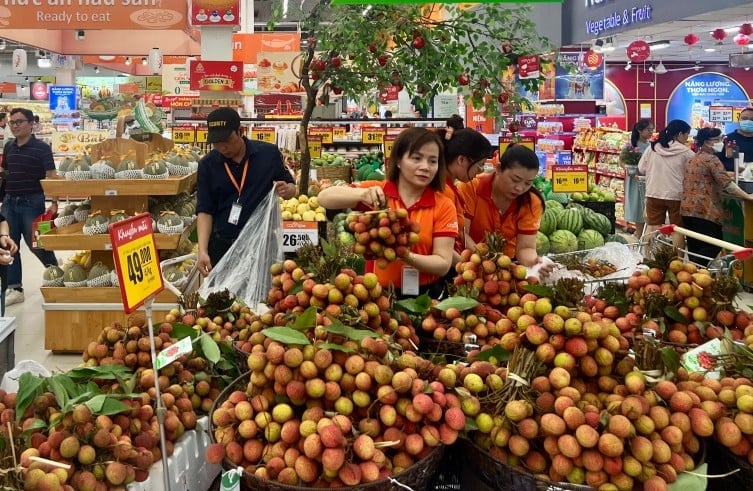 Vải thiều Lục Ngạn được bán tại các hệ thống siêu thị của Saigon Co.op với giá từ 49.000 đồng/kg. Ảnh: Hà Duyên Vải thiều Lục Ngạn được bán tại các hệ thống siêu thị của Saigon Co.op với giá từ 49.000 đồng/kg. Ảnh: Hà Duyên