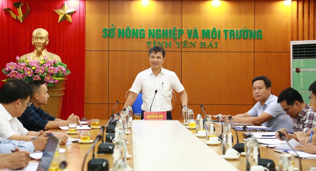 Ông Nguyễn Đức Điển, Phó Giám đốc Sở Nông nghiệp và Môi trường Yên Bái phát biểu chỉ đạo hội nghị. Ảnh: Thanh Ngà. Ông Nguyễn Đức Điển, Phó Giám đốc Sở Nông nghiệp và Môi trường Yên Bái phát biểu chỉ đạo hội nghị. Ảnh: Thanh Ngà.