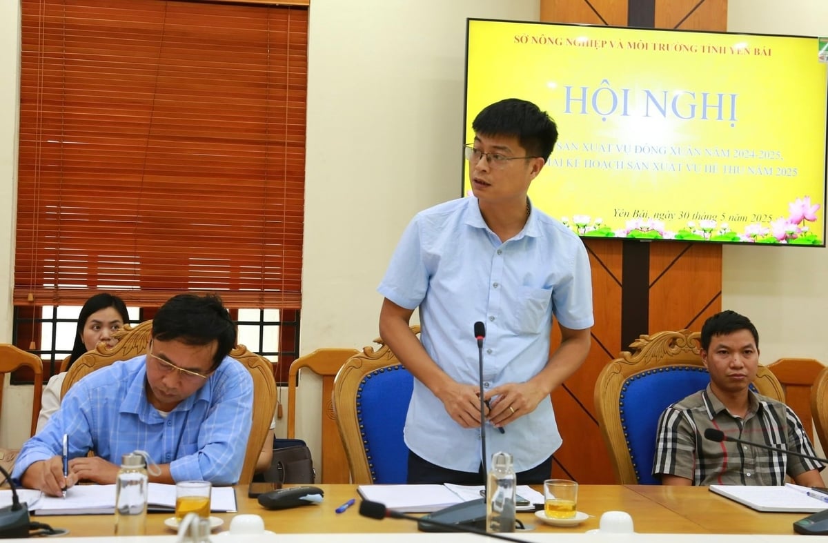 Lãnh đạo Phòng Nông nghiệp và Môi trường huyện Văn Chấn tham gia ý kiến tại Hội nghị. Ảnh: Thanh Ngà. Lãnh đạo Phòng Nông nghiệp và Môi trường huyện Văn Chấn tham gia ý kiến tại Hội nghị. Ảnh: Thanh Ngà.