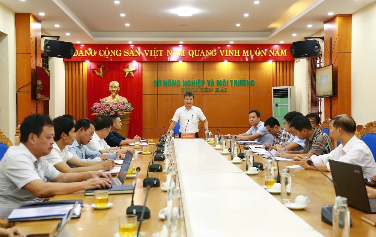 Toàn cảnh Hội nghị. Ảnh: Thanh Ngà. Toàn cảnh Hội nghị. Ảnh: Thanh Ngà.