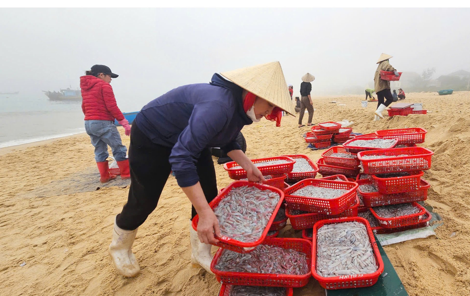 Ngư dân vùng biển bãi ngang Quảng Bình vào vụ cá Nam với nhiều đặc sản mực cơm. Ảnh: T. Phùng. Ngư dân vùng biển bãi ngang Quảng Bình vào vụ cá Nam với nhiều đặc sản mực cơm. Ảnh: T. Phùng.