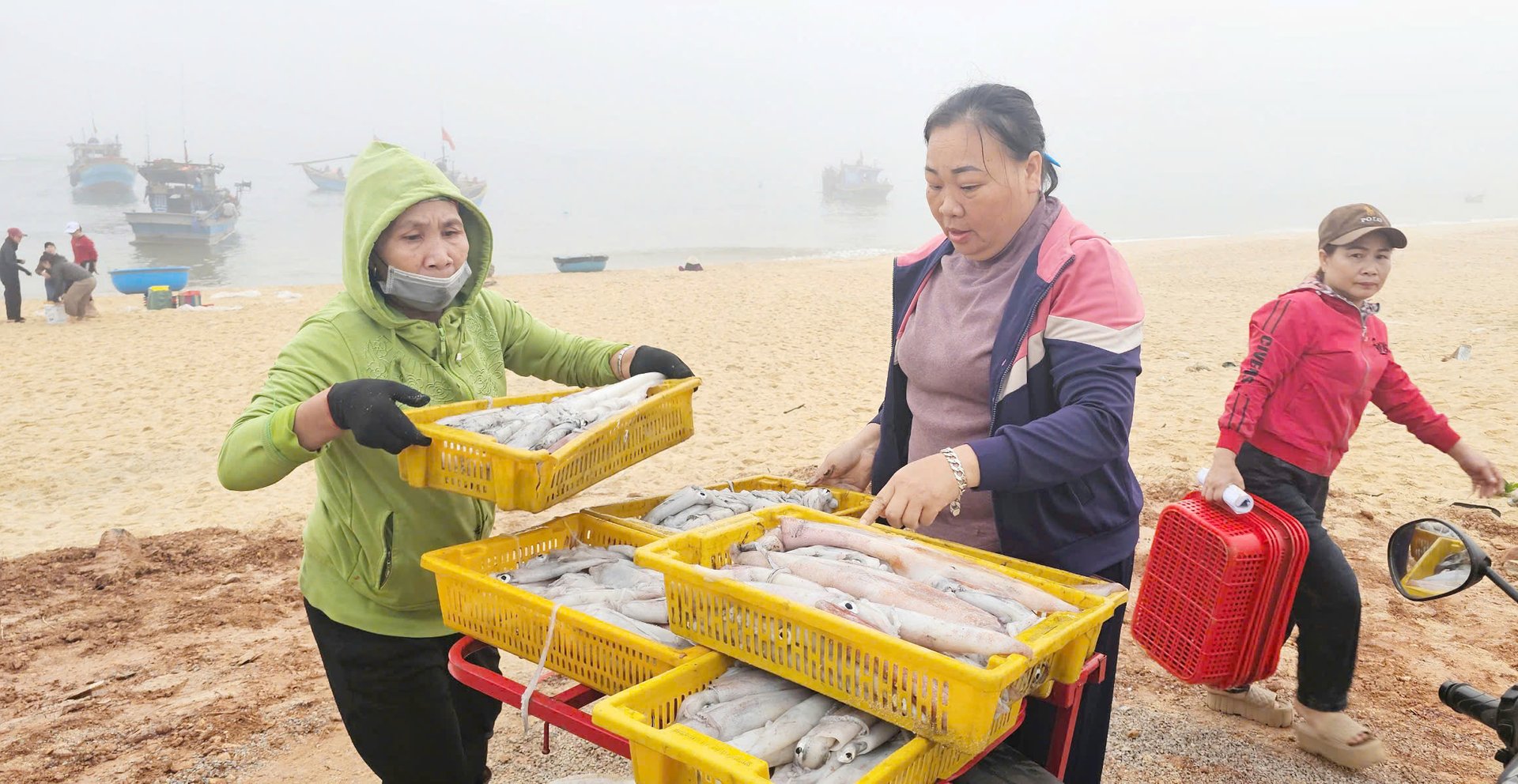 Mực ống được bán với giá 300.000 đồng/kg, giúp ngư dân có thu nhập cao. Ảnh: T. Phùng. Mực ống được bán với giá 300.000 đồng/kg, giúp ngư dân có thu nhập cao. Ảnh: T. Phùng.