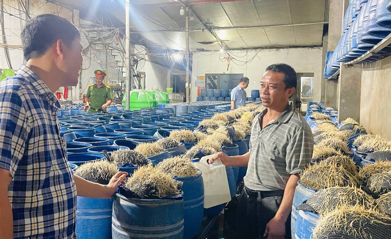 Lực lượng chức năng tỉnh Lào Cai đột kích, kiểm tra các cơ sở làm giá đỗ. Ảnh: Công an tỉnh Lào Cai. Lực lượng chức năng tỉnh Lào Cai đột kích, kiểm tra các cơ sở làm giá đỗ. Ảnh: Công an tỉnh Lào Cai.